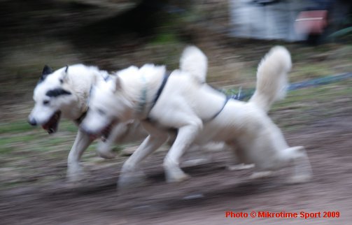 Wyedean Quest 2009