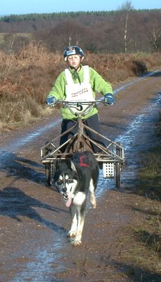 A Junior Musher