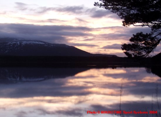 A Peaceful Scene